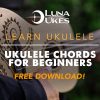 Ukulele Chords for Beginners – An Overview
